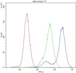 Invitrogen Complement Factor I Polyclonal Antibody 100 &mu;g; Unconjugated:Antibodies,