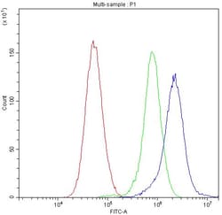 Invitrogen CHRNA5 Polyclonal Antibody 100 &mu;g; Unconjugated:Antibodies,