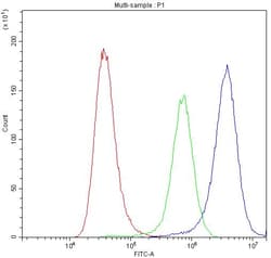 Invitrogen CHRNA5 Polyclonal Antibody 100 &mu;g; Unconjugated:Antibodies,