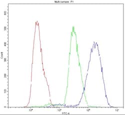 Invitrogen CHRNA5 Polyclonal Antibody 100 &mu;g; Unconjugated:Antibodies,