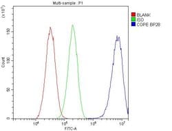 Invitrogen COPE Polyclonal Antibody 100 &mu;g | Buy Online | Invitrogen&trade; | Fisher Scientific