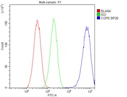 Invitrogen COPE Polyclonal Antibody 100 &mu;g | Buy Online | Invitrogen&trade; | Fisher Scientific
