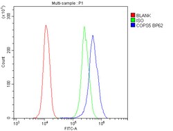Invitrogen JAB1 Polyclonal Antibody 100 &mu;g; Unconjugated:Antibodies,