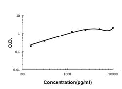 Invitrogen Carboxypeptidase B2 Polyclonal Antibody 100 &mu;g; Unconjugated:Antibodies,
