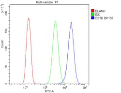 Invitrogen Cystatin B Polyclonal Antibody 100 &mu;g; Unconjugated:Antibodies,
