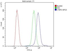 Invitrogen CtBP2 Polyclonal Antibody 100 &mu;g; Unconjugated:Antibodies,
