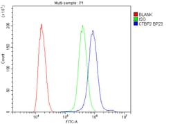 Invitrogen CtBP2 Polyclonal Antibody 100 &mu;g; Unconjugated:Antibodies,