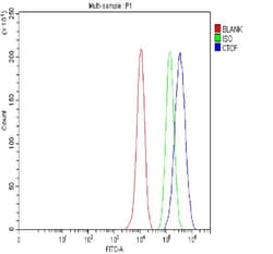 Invitrogen CTCF Polyclonal Antibody 100 &mu;g; Unconjugated:Antibodies