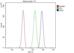 Invitrogen DAXX Polyclonal Antibody 100 &mu;g | Buy Online | Invitrogen&trade; | Fisher Scientific