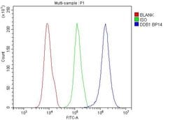 Invitrogen DDB1 Polyclonal Antibody 100 &mu;g; Unconjugated:Antibodies,