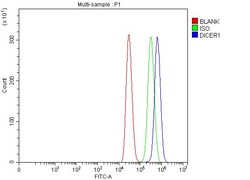 Invitrogen Dicer Polyclonal Antibody 100 &mu;g; Unconjugated:Antibodies,