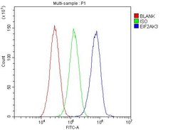 Invitrogen PERK Polyclonal Antibody 100 &mu;g; Unconjugated:Antibodies,