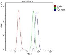 Invitrogen EME1 Polyclonal Antibody 100 &mu;g; Unconjugated:Antibodies,