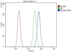 EpCAM (CD326) Polyclonal Antibody:Antibodies, Polyclonal