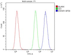 Invitrogen EWSR1 Polyclonal Antibody 100 &mu;g; Unconjugated:Antibodies,