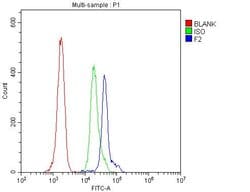Invitrogen Prothrombin Polyclonal Antibody 100 &mu;g; Unconjugated:Antibodies,