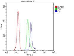 Invitrogen Prothrombin Polyclonal Antibody 100 &mu;g; Unconjugated:Antibodies,