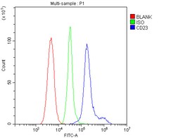 Invitrogen CD23 Polyclonal Antibody 100 &mu;g; Unconjugated:Antibodies,