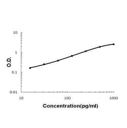 Invitrogen FGF19 Polyclonal Antibody 100 &mu;g; Unconjugated:Antibodies,