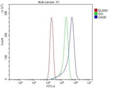 Invitrogen GAS6 Polyclonal Antibody 100 &mu;g; Unconjugated:Antibodies