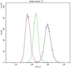 Invitrogen HLA-C Polyclonal Antibody 100 &mu;g | Buy Online | Invitrogen&trade; | Fisher Scientific