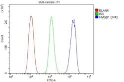 Invitrogen HMGB1 Polyclonal Antibody 100 &mu;g; Unconjugated:Antibodies,