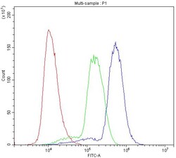 Invitrogen HOXA11 Polyclonal Antibody 100 &mu;g; Unconjugated:Antibodies,
