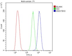 Invitrogen ERAB Polyclonal Antibody 100 &mu;g; Unconjugated:Antibodies,