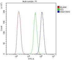 Invitrogen ERAB Polyclonal Antibody 100 &mu;g; Unconjugated:Antibodies,