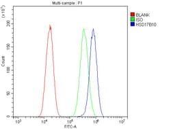 Invitrogen ERAB Polyclonal Antibody 100 &mu;g; Unconjugated:Antibodies,