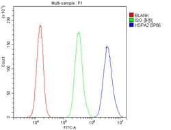 Invitrogen HSPA2 Polyclonal Antibody 100 &mu;g; Unconjugated:Antibodies,