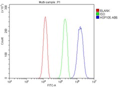 Invitrogen HSP105 Polyclonal Antibody 100 &mu;g | Buy Online | Invitrogen&trade; | Fisher Scientific