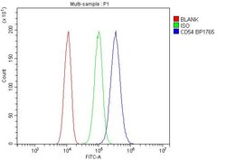 Invitrogen ICAM-1 (CD54) Polyclonal Antibody 100 &mu;g; Unconjugated:Antibodies,