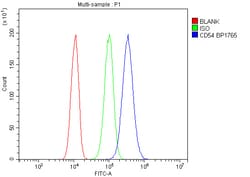 Invitrogen ICAM-1 (CD54) Polyclonal Antibody 100 &mu;g; Unconjugated:Antibodies,