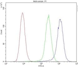 Invitrogen ICOS (CD278) Polyclonal Antibody 100 &mu;g; Unconjugated:Antibodies,