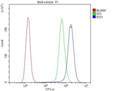 Invitrogen IDO Polyclonal Antibody 100 &mu;g; Unconjugated:Anticuerpos