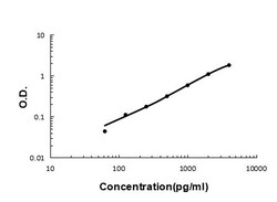 Invitrogen IGFBP2 Polyclonal Antibody 100 &mu;g; Unconjugated:Antibodies,