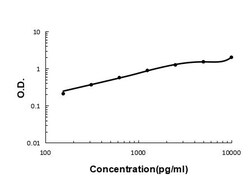 Invitrogen IL15RA Polyclonal Antibody 100 &mu;g; Unconjugated:Antibodies,
