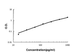 Invitrogen IL-17A Polyclonal Antibody 100 &mu;g; Unconjugated:Antibodies,