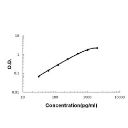 Invitrogen IL-17F Polyclonal Antibody 100 &mu;g; Unconjugated:Antibodies,