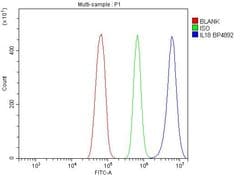 Invitrogen IL-18 Polyclonal Antibody 100 &mu;g; Unconjugated:Antibodies,