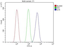 Invitrogen IL-18 Polyclonal Antibody 100 &mu;g; Unconjugated:Antibodies,