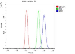 Invitrogen CD127 Polyclonal Antibody 100 &mu;g; Unconjugated:Antibodies,