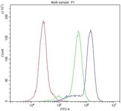 Invitrogen CD11b Polyclonal Antibody 100 &mu;g; Unconjugated:Antibodies,