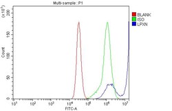 Invitrogen LPXN Polyclonal Antibody 100 &mu;g; Unconjugated:Antibodies,