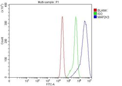 Invitrogen MEK3 Polyclonal Antibody 100 &mu;g; Unconjugated:Antibodies,