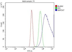 Invitrogen MKK7 Polyclonal Antibody 100 &mu;g; Unconjugated:Antibodies,