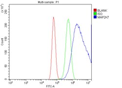 Invitrogen MKK7 Polyclonal Antibody 100 &mu;g; Unconjugated:Antibodies,