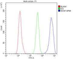 Invitrogen MCM7 Polyclonal Antibody 100 &mu;g; Unconjugated:Antibodies,