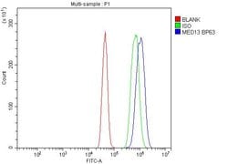 Invitrogen MED13 Polyclonal Antibody 100 &mu;g; Unconjugated:Antibodies,
